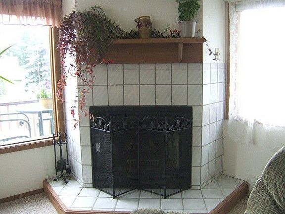 Wood Burning Fireplace