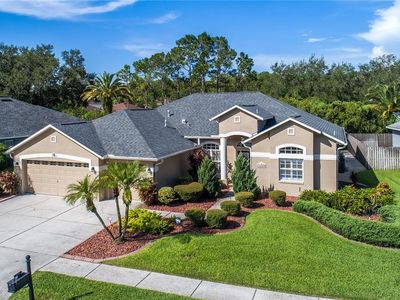 12524 Leatherleaf Dr, Tampa, FL, 33626