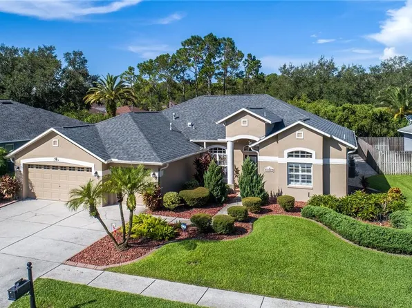 12524 Leatherleaf Dr, Tampa, FL 33626