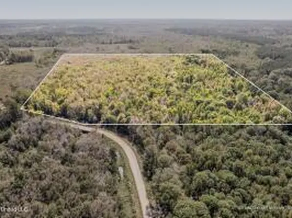 83 Bill Willis Rd, Union, MS 39365