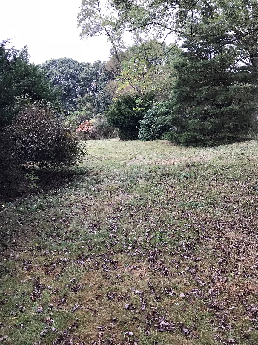 2525 Brandt School Rd photo 1