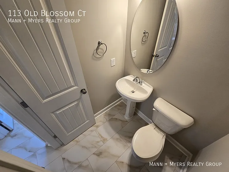 113 Old Blossom Ct — Photo 19