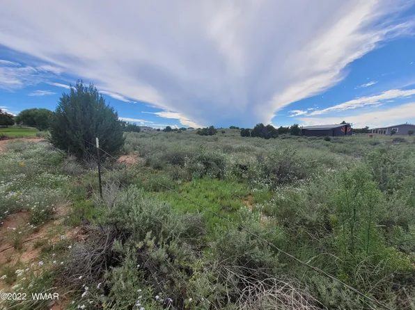 PARCEL 19th South St #C, Snowflake, AZ 85937