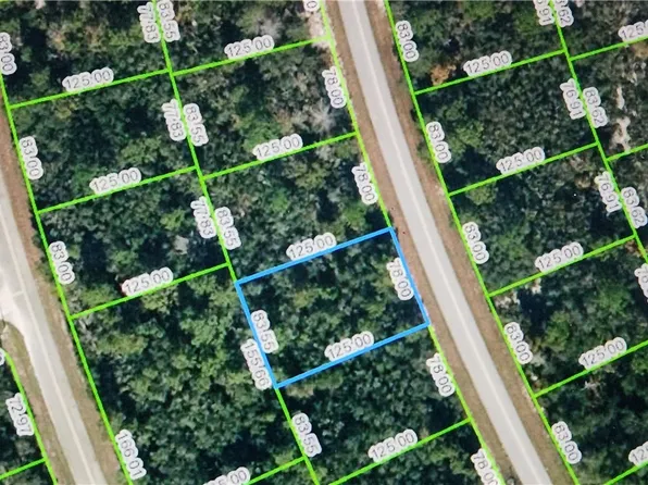 121 Fillmore Ave NE, Lake Placid, FL 33852