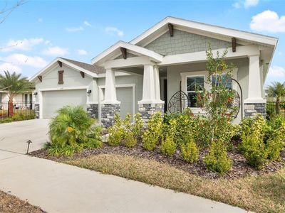 6189 Hidden Branch Dr, Apollo Beach, FL, 33572