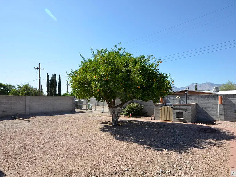 Large north facing backyard with alley access