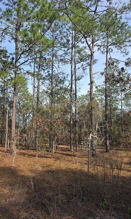 1st image of 0 NW Alvarez Rd N Lot 37