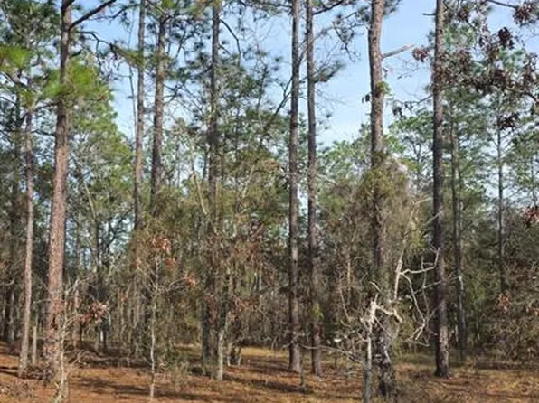 0 NW Alvarez Rd N Lot 37, Dunnellon, FL 34431