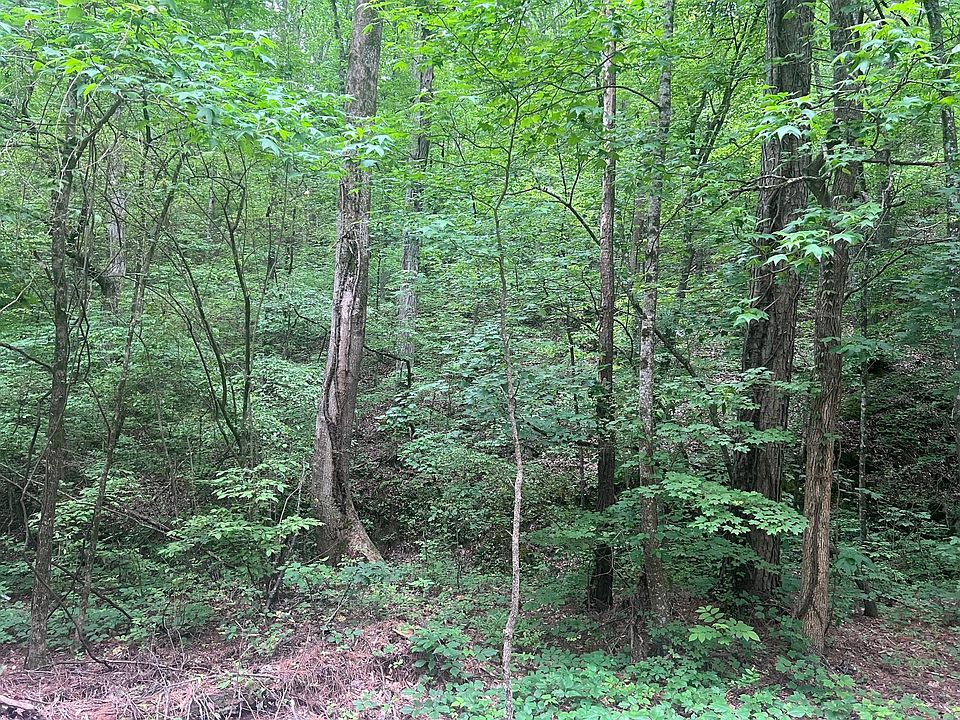 2nd image of 0 Lower River Rd NW