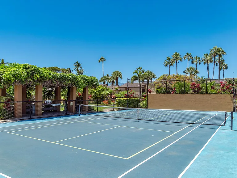 Wailea Alanui Dr — Photo 49