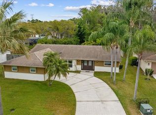 805 Jacaranda Dr, Oldsmar, FL 34677