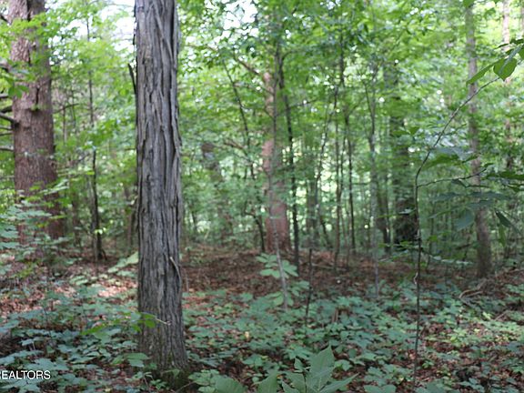 3rd image of 1 County Road 892