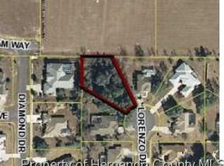 443 Lorenzo Dr, Spring Hill, FL 34609