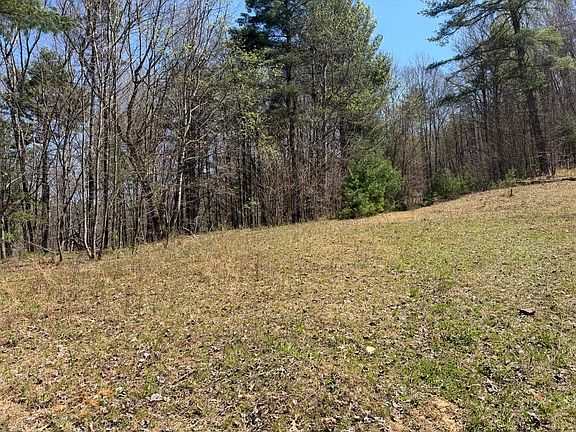 3rd image of Morris Branch Rd
