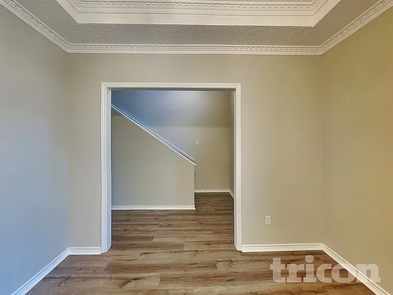509 Live Oak Dr — Photo 4