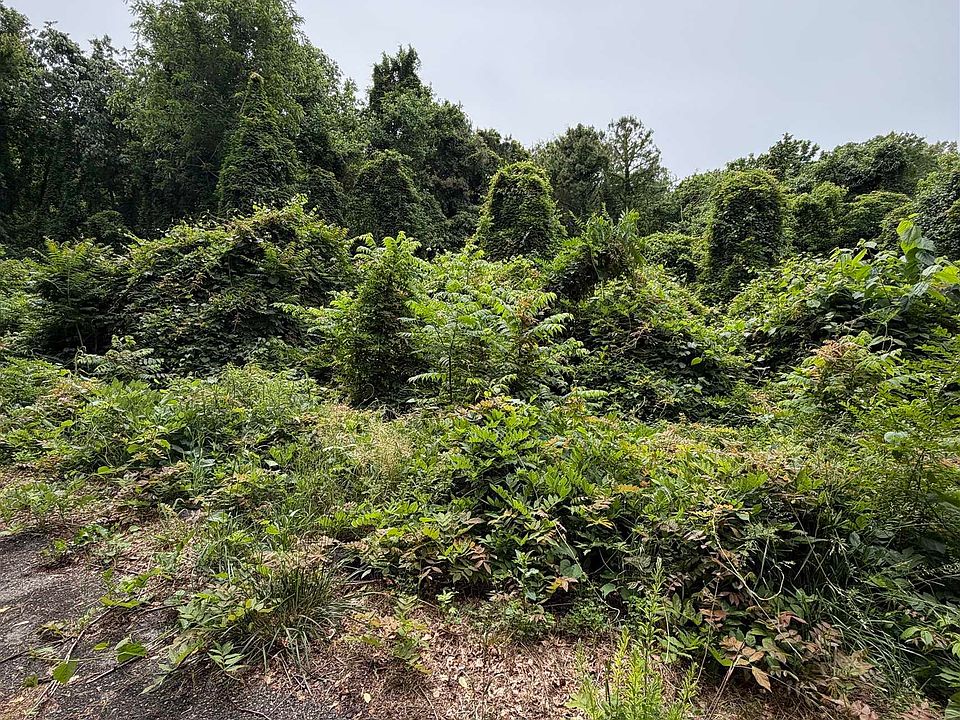 2nd image of 60/LOT E McCoy St