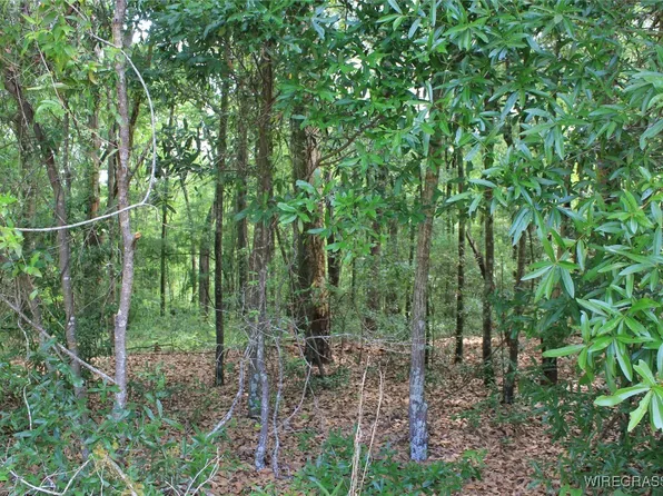 104 Oak Bluff Dr, Enterprise, AL 36330