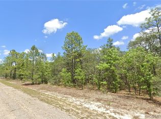 9825 N Swanee Ter, Citrus Springs, FL 34433