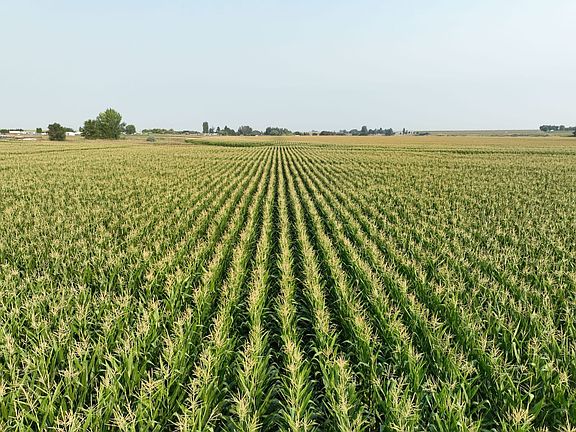 18605_Adams-County-Washington-Row-Crop-Farm-383-Acres (2)