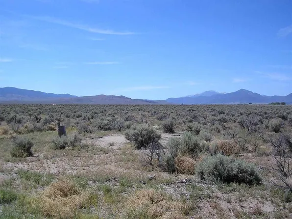 244 Chaparral Dr, Smith, NV 89430