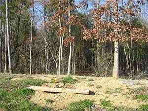 1st image of 1351 Shinnecock Ln
