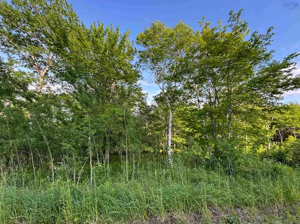 Parkland Pl #29, Cape Breton, NS B1Y 2X9