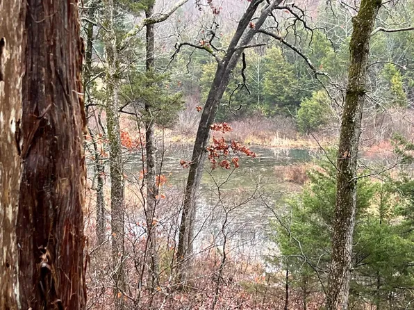 9288 Lakeview Dr, Bonne Terre, MO 63628