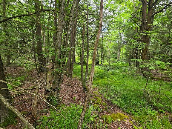 4th image of PARCEL 80 Deep Hollow Run Lot 9