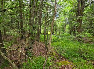 PARCEL 95 Payne Run Ln Lot 5, Dushore, PA 18614