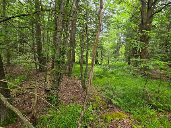 PARCEL 95 Payne Run Ln Lot 5, Dushore, PA 18614