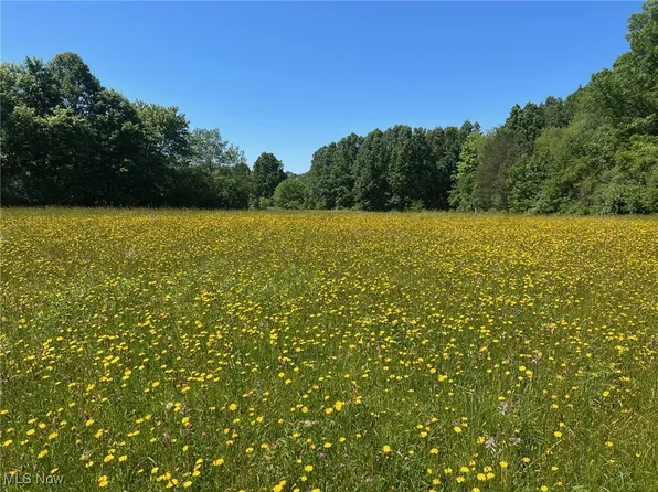 Tallmadge Rd, Rootstown, OH 44272