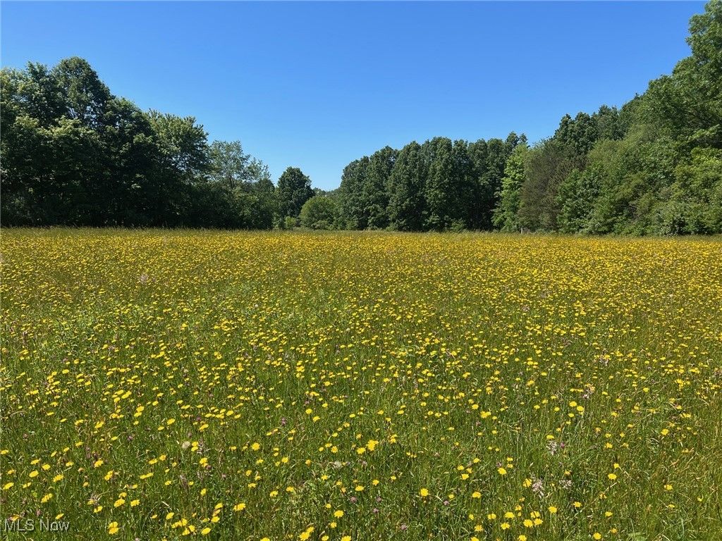 Real estate listing image