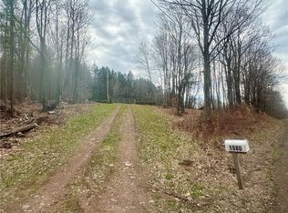 1980 Swart Hollow Rd Lot 11, Oneonta, NY 13820