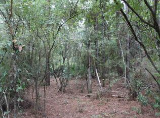 Vacant Ne Timber River Loop, Lee, FL 32059