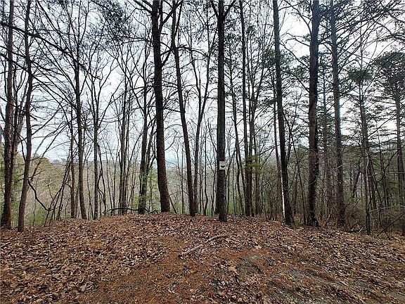 5th image of 1036 Astro Ct NE #1036