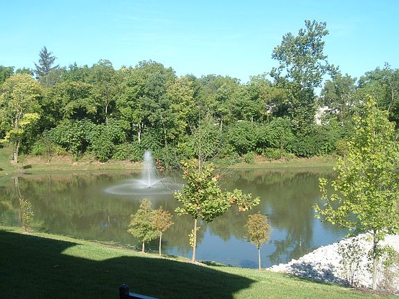 3rd image of 6598 Reserve Dr