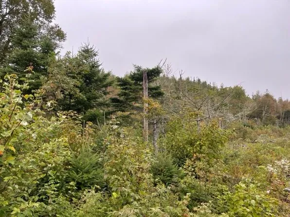 M4L19-1 Off Dixie Road, Lubec, ME 04652