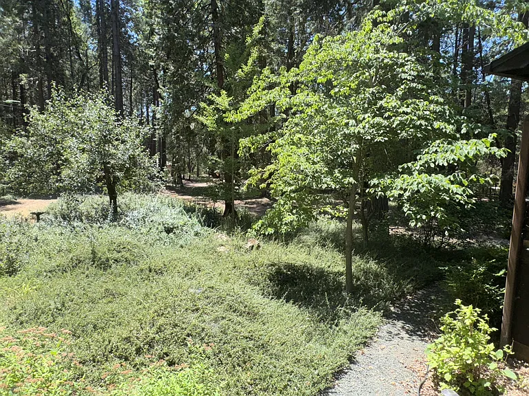 13216 Tranquility Ln #1 — Photo 48
