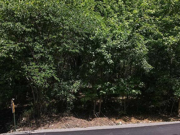 2nd image of 0 Wilderness Rd