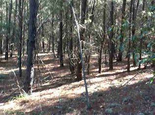 Vacant Se Olustee #0, Lee, FL 32059