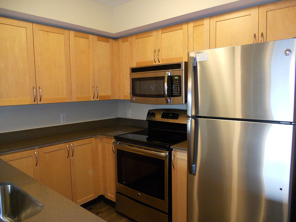 Stainless Appliances & Quartz Counters