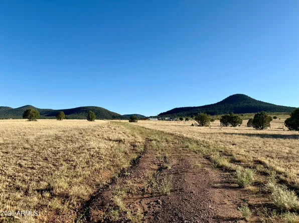 228B S Dutchmans Trail #-, Young, AZ 85554