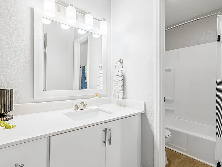 Newly Renovated Bathroom