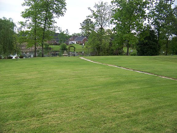 View from Basement Deck