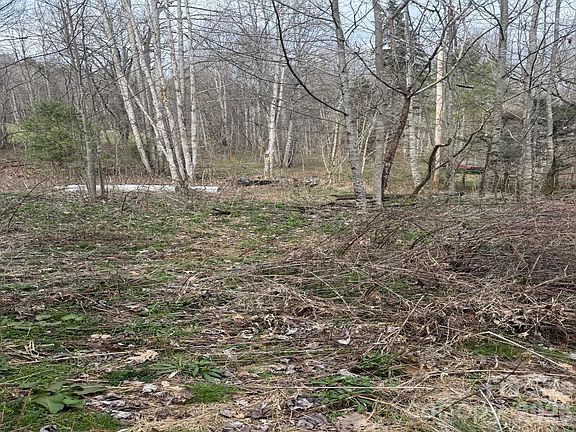 4th image of Jass Cove Rd