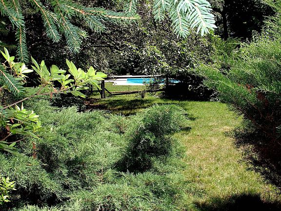 Pool Privacy set in greenery