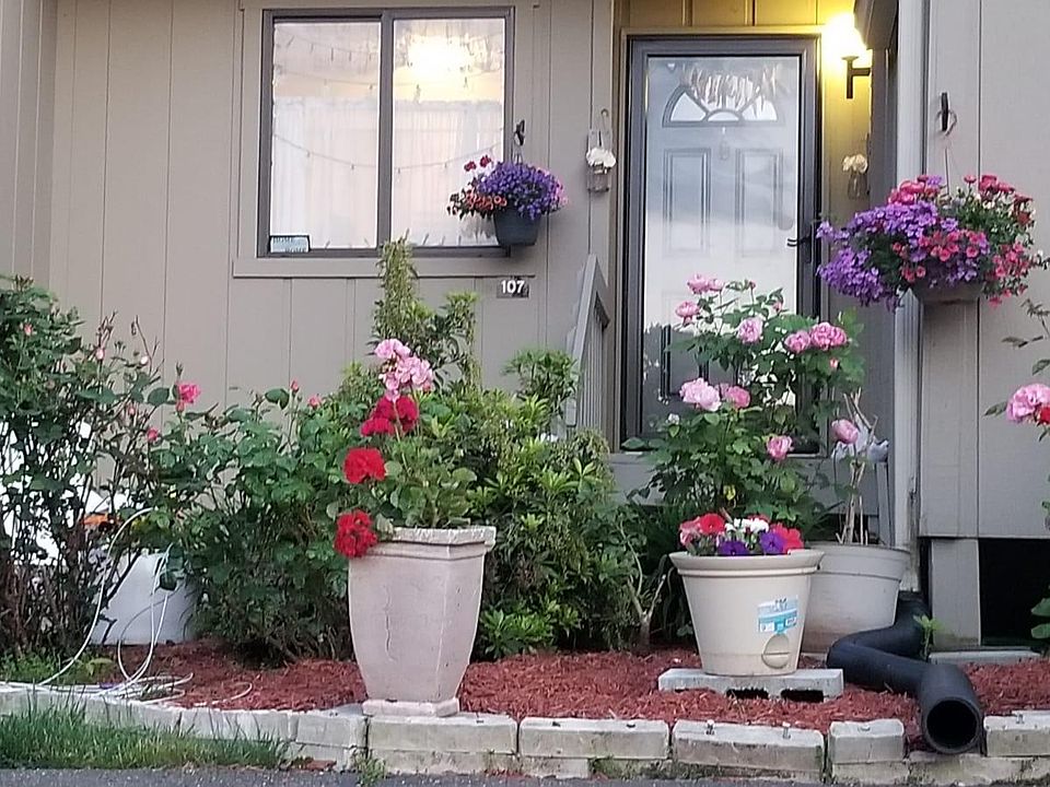 Front of the house