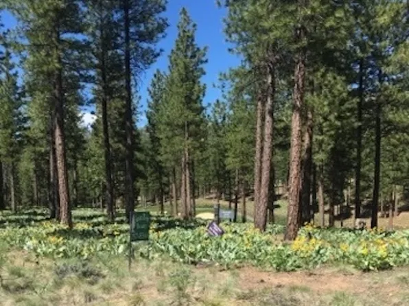 19 Big Grizzly, Portola, CA 96122