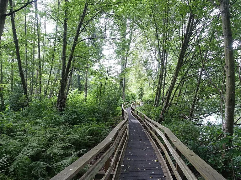 Green trail (part of complex)