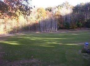 2nd image of 49 Middle Rd